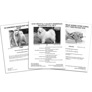 Pedigree Book